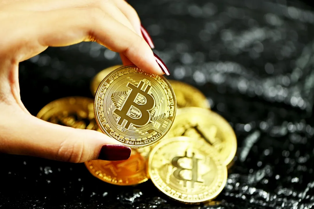 Demographic report analyzing crypto investor profiles